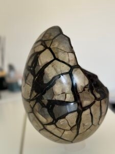 a cracked egg shaped object